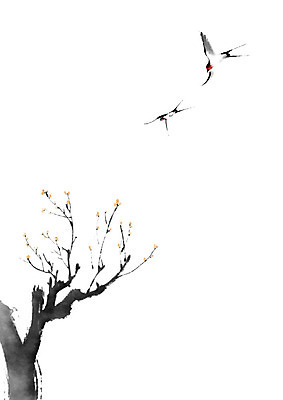 PSD 나무 두마리 일러스트 캘리그라피 붓터치 사람없음 나뭇가지 절기 동양화 꽃봉오리 번짐 제비 춘분 국내일러스트 식물 계절 꽃 2 조류 미술 파일형식 효과