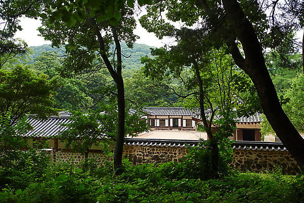 포토 JPG 주간 나무 한국전통 여행 유적지 풍경 사람없음 야외 여름 관광지 산책로 세계문화유산 문화재 역사 한국사 조선시대 왕릉 재실 조선왕릉 김포장릉 인헌왕후 원종 국내포토 자연요소 식물 전통 계절 길 고건축 한국 왕 김포 파일형식 왕후