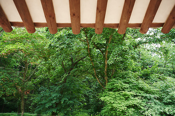 포토 JPG 주간 나무 한국전통 여행 유적지 지붕 풍경 사람없음 야외 여름 관광지 세계문화유산 문화재 역사 한국사 조선시대 왕릉 재실 조선왕릉 김포장릉 인헌왕후 원종 국내포토 자연요소 식물 전통 계절 고건축 한국 왕 김포 파일형식 왕후