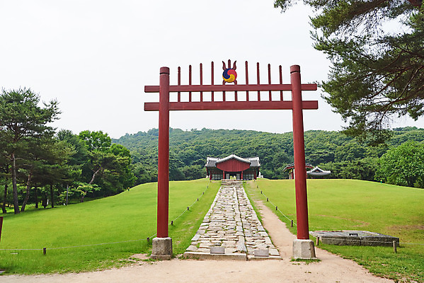 포토 JPG 주간 나무 한국전통 여행 유적지 풍경 사람없음 야외 여름 관광지 세계문화유산 문화재 역사 한국사 조선시대 왕릉 정자각 조선왕릉 홍살문 김포장릉 인헌왕후 원종 신로 국내포토 자연요소 식물 전통 계절 고건축 한국 왕 전통문 김포 파일형식 왕후 향어로