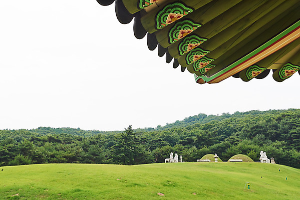 포토 JPG 주간 한국전통 여행 유적지 지붕 단청문양 풍경 사람없음 야외 여름 관광지 세계문화유산 문화재 역사 한국사 조선시대 왕릉 조선왕릉 능침 김포장릉 인헌왕후 원종 국내포토 자연요소 전통 문양 계절 고건축 한국 왕 단청 김포 파일형식 왕후