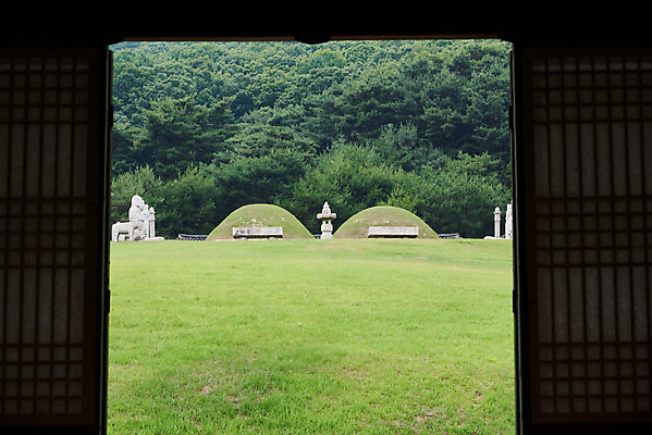 포토 JPG 주간 한국전통 여행 유적지 풍경 사람없음 야외 여름 관광지 세계문화유산 문화재 역사 한국사 조선시대 왕릉 조선왕릉 능침 김포장릉 인헌왕후 원종 국내포토 자연요소 전통 계절 고건축 한국 왕 김포 파일형식 왕후