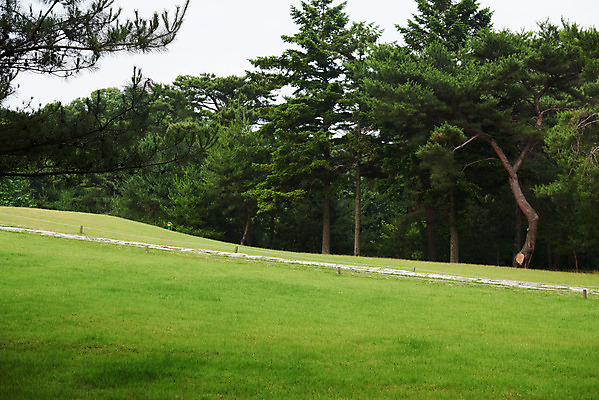 포토 JPG 주간 나무 한국전통 여행 유적지 풍경 사람없음 야외 초록색 여름 관광지 세계문화유산 문화재 역사 한국사 조선시대 어로 왕릉 조선왕릉 김포장릉 인헌왕후 원종 신로 국내포토 자연요소 식물 전통 계절 컬러 고건축 한국 왕 김포 파일형식 왕후 향어로