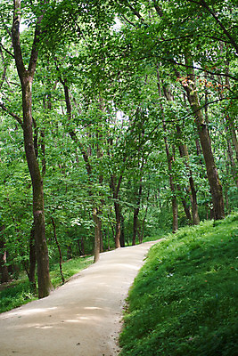 포토 JPG 주간 나무 한국전통 여행 유적지 풍경 사람없음 야외 초록색 여름 관광지 산책로 김포장릉 국내포토 자연요소 식물 전통 계절 길 컬러 고건축 한국 왕릉 김포 파일형식