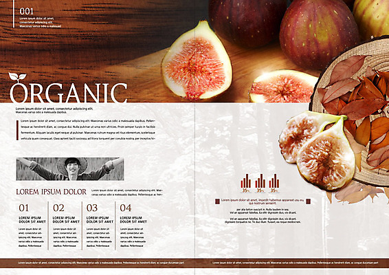 PSD 템플릿 표지디자인 북디자인 출판디자인 남자 리플렛 북커버 나뭇잎 한명 팜플렛 20대 성인 갈색 한국인 신선 농부 유기농 무화과 성인남자한명만 청년농부 이미지템플릿 직업 1 웰빙 컬러 잎 과일 사람 동양인 청년 남자한명만 성인남자만 파일형식