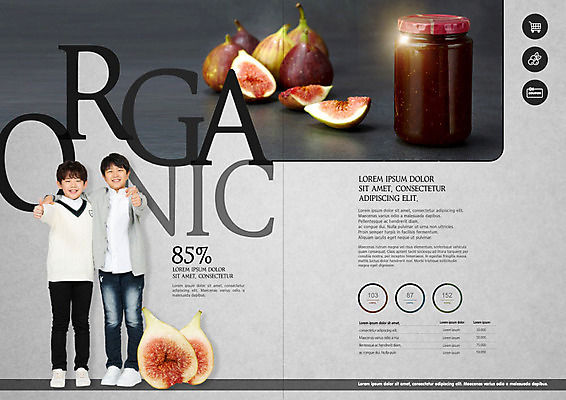 PSD 템플릿 표지디자인 북디자인 출판디자인 남자 어린이 리플렛 북커버 팜플렛 두명 10대 회색 한국인 신선 최고 유기농 무화과 소년만 무화과잼 이미지템플릿 웰빙 컬러 과일 청소년 사람 동양인 잼 남자만 어린이만 파일형식