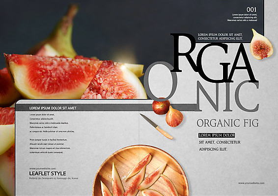 PSD 템플릿 표지디자인 북디자인 출판디자인 리플렛 북커버 팜플렛 사람없음 회색 신선 칼 유기농 무화과 나무접시 이미지템플릿 접시 웰빙 컬러 과일 파일형식