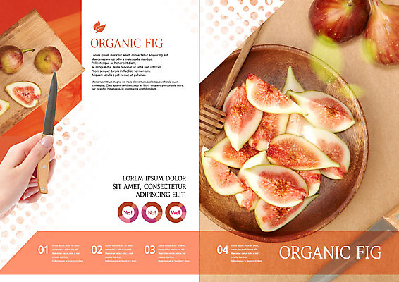 PSD 템플릿 표지디자인 북디자인 손 출판디자인 리플렛 북커버 도마 팜플렛 신체부위 신선 칼 유기농 무화과 나무접시 다홍색 이미지템플릿 접시 웰빙 컬러 과일 주방용품 사람 파일형식