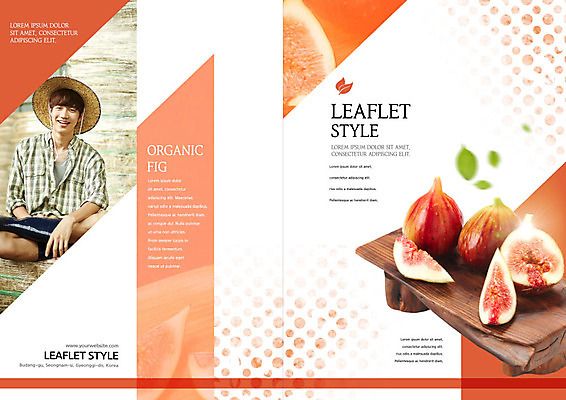 PSD 템플릿 표지디자인 북디자인 출판디자인 남자 리플렛 북커버 한명 팜플렛 20대 성인 한국인 신선 유기농 무화과 나무도마 다홍색 성인남자한명만 이미지템플릿 1 웰빙 컬러 과일 도마 사람 동양인 청년 목재 남자한명만 성인남자만 파일형식