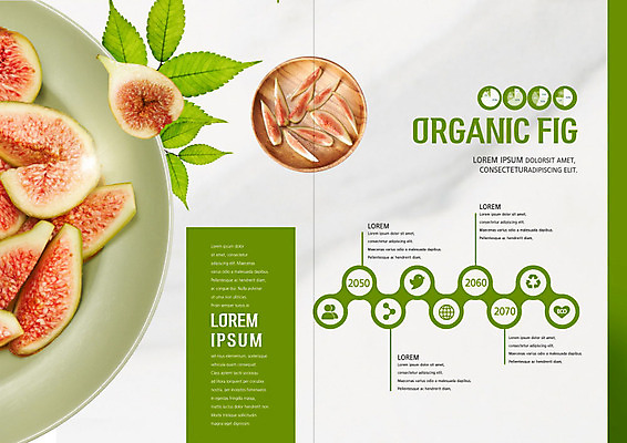 PSD 템플릿 접시 표지디자인 북디자인 출판디자인 리플렛 북커버 나뭇잎 팜플렛 사람없음 초록색 신선 유기농 무화과 나무접시 이미지템플릿 식기 웰빙 컬러 잎 과일 파일형식