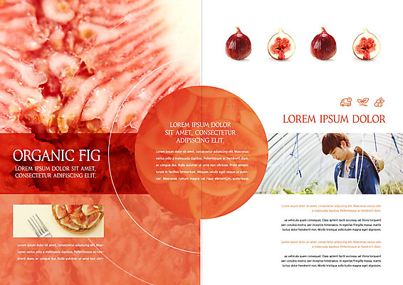 PSD 템플릿 표지디자인 북디자인 출판디자인 남자 리플렛 북커버 한명 팜플렛 20대 성인 빨간색 한국인 신선 농부 유기농 무화과 성인남자한명만 청년농부 이미지템플릿 직업 1 웰빙 컬러 과일 사람 동양인 청년 남자한명만 성인남자만 파일형식