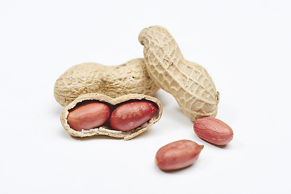 포토 JPG 스튜디오촬영 웰빙 실내 건강 누끼 사람없음 여러개 견과류 오브젝트 흰배경 알맹이 땅콩 부럼 웰빙음식 땅콩껍질 슈퍼푸드 국내포토 다수 백그라운드 내부 껍질 흰색 정월대보름 건강식품 건강식 파일형식