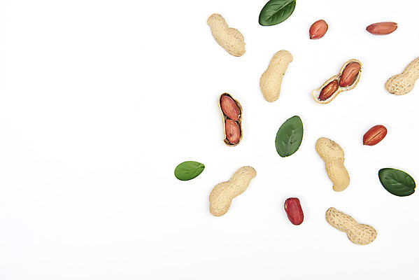 포토 JPG 스튜디오촬영 웰빙 잎 실내 건강 누끼 사람없음 하이앵글 여러개 견과류 오브젝트 흰배경 알맹이 땅콩 부럼 웰빙음식 땅콩껍질 플랫레이 슈퍼푸드 국내포토 식물 뷰포인트 다수 백그라운드 내부 껍질 흰색 플랫 정월대보름 건강식품 건강식 파일형식