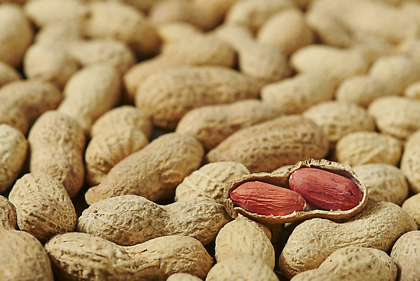 포토 JPG 스튜디오촬영 웰빙 실내 건강 근접촬영 사람없음 여러개 견과류 오브젝트 알맹이 땅콩 부럼 웰빙음식 땅콩껍질 슈퍼푸드 국내포토 뷰포인트 다수 내부 껍질 정월대보름 건강식품 건강식 파일형식