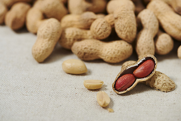 포토 JPG 스튜디오촬영 웰빙 실내 건강 근접촬영 사람없음 여러개 견과류 오브젝트 알맹이 땅콩 부럼 웰빙음식 땅콩껍질 베이지색배경 슈퍼푸드 국내포토 뷰포인트 다수 백그라운드 내부 껍질 정월대보름 건강식품 건강식 베이지색 파일형식