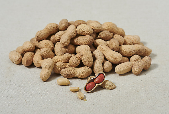 포토 JPG 스튜디오촬영 웰빙 실내 건강 사람없음 여러개 견과류 오브젝트 알맹이 땅콩 부럼 웰빙음식 땅콩껍질 베이지색배경 슈퍼푸드 국내포토 다수 백그라운드 내부 껍질 정월대보름 건강식품 건강식 베이지색 파일형식