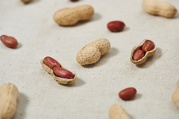 포토 JPG 스튜디오촬영 웰빙 실내 건강 사람없음 여러개 견과류 오브젝트 알맹이 땅콩 부럼 웰빙음식 땅콩껍질 베이지색배경 슈퍼푸드 국내포토 다수 백그라운드 내부 껍질 정월대보름 건강식품 건강식 베이지색 파일형식