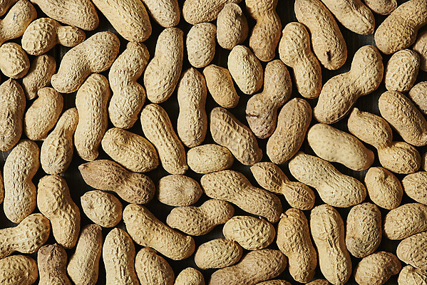 포토 JPG 스튜디오촬영 웰빙 실내 건강 근접촬영 사람없음 하이앵글 여러개 견과류 오브젝트 땅콩 부럼 웰빙음식 플랫레이 슈퍼푸드 국내포토 뷰포인트 다수 내부 플랫 정월대보름 건강식품 건강식 파일형식