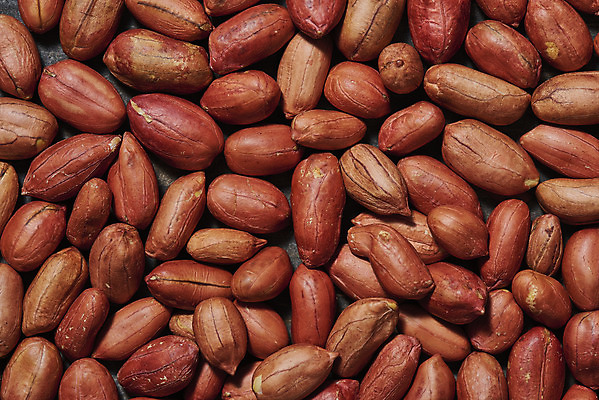 포토 JPG 스튜디오촬영 웰빙 실내 건강 근접촬영 사람없음 하이앵글 여러개 견과류 오브젝트 알맹이 땅콩 부럼 웰빙음식 플랫레이 슈퍼푸드 국내포토 뷰포인트 다수 내부 플랫 정월대보름 건강식품 건강식 파일형식