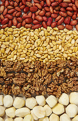 포토 JPG 스튜디오촬영 웰빙 실내 건강 근접촬영 사람없음 하이앵글 여러개 견과류 밤 오브젝트 알맹이 땅콩 호두 잣 부럼 웰빙음식 플랫레이 슈퍼푸드 국내포토 뷰포인트 다수 내부 플랫 정월대보름 건강식품 건강식 파일형식