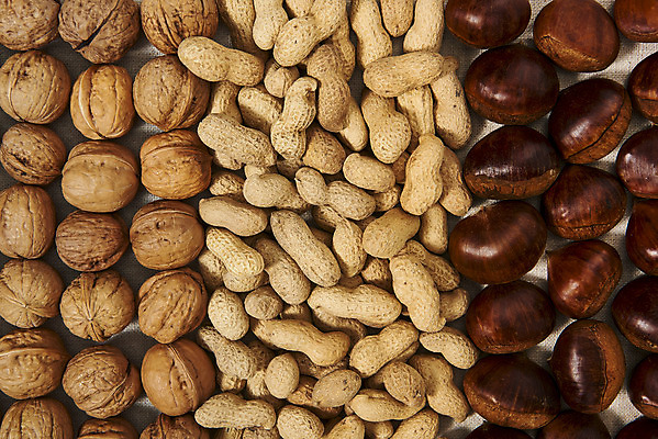 포토 JPG 스튜디오촬영 웰빙 실내 건강 근접촬영 사람없음 하이앵글 여러개 견과류 밤 오브젝트 땅콩 호두 부럼 웰빙음식 플랫레이 슈퍼푸드 국내포토 뷰포인트 다수 내부 플랫 정월대보름 건강식품 건강식 파일형식