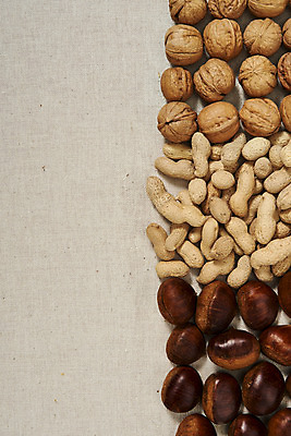 포토 JPG 스튜디오촬영 웰빙 실내 건강 사람없음 하이앵글 여러개 견과류 밤 오브젝트 땅콩 호두 부럼 웰빙음식 베이지색배경 플랫레이 슈퍼푸드 국내포토 뷰포인트 다수 백그라운드 내부 플랫 정월대보름 건강식품 건강식 베이지색 파일형식