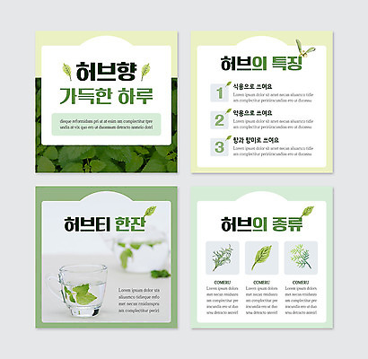 PSD 템플릿 웹템플릿 사람없음 초록색 허브 향기 특징 허브차 카드뉴스 이미지템플릿 식물 컬러 차_음료 냄새 파일형식