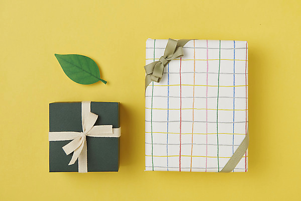 포토 JPG 스튜디오촬영 리본 잎 실내 선물포장 선물 이벤트 사람없음 선물상자 하이앵글 두개 축하 오브젝트 노란배경 플랫레이 국내포토 식물 뷰포인트 백그라운드 컨셉 2 포장 내부 상자 노란색 플랫 파일형식