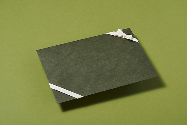 포토 JPG 스튜디오촬영 리본 실내 선물포장 선물 이벤트 사람없음 선물상자 한개 축하 오브젝트 초록배경 국내포토 1 백그라운드 컨셉 포장 내부 초록색 상자 파일형식