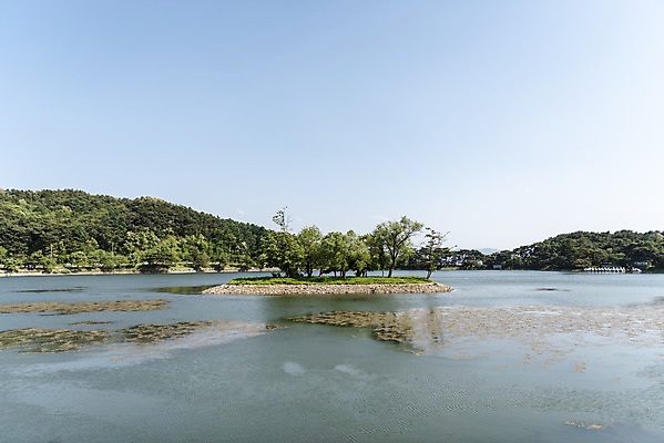 포토 JPG 주간 나무 한국전통 호수 여행 하늘 풍경 사람없음 야외 여름 관광지 저수지 명승지 의림지 제천 국내포토 자연요소 식물 전통 계절 한국 충청북도 파일형식 제천10경