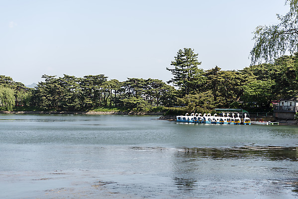 포토 JPG 주간 나무 한국전통 호수 여행 하늘 풍경 사람없음 야외 여름 관광지 저수지 명승지 오리배 의림지 제천 국내포토 자연요소 식물 전통 계절 한국 충청북도 파일형식 제천10경