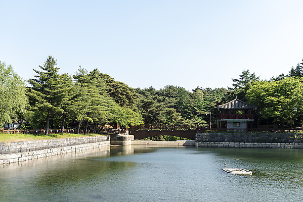포토 JPG 주간 나무 한국전통 호수 여행 하늘 풍경 사람없음 야외 여름 관광지 저수지 나무다리 명승지 의림지 제천 국내포토 자연요소 식물 전통 계절 한국 다리_건축물 충청북도 파일형식 제천10경