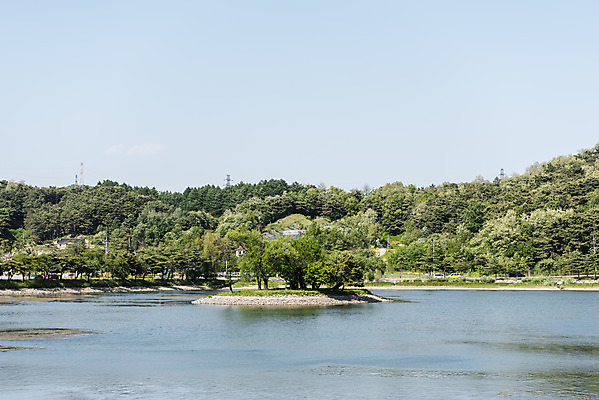 포토 JPG 주간 나무 한국전통 호수 여행 하늘 풍경 사람없음 야외 여름 관광지 저수지 명승지 의림지 제천 국내포토 자연요소 식물 전통 계절 한국 충청북도 파일형식 제천10경