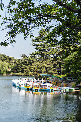 포토 JPG 주간 나무 한국전통 호수 여행 하늘 풍경 사람없음 야외 여름 관광지 저수지 명승지 오리배 의림지 제천 국내포토 자연요소 식물 전통 계절 한국 충청북도 파일형식 제천10경