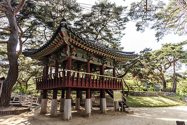 포토 JPG 주간 한국전통 여행 한국건축 하늘 풍경 사람없음 야외 여름 관광지 소나무 명승지 의림지 제천 경호루 국내포토 자연요소 나무 전통 계절 건축 한국 저수지 정자_건축물 충청북도 파일형식 제천10경