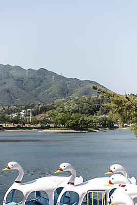 포토 JPG 주간 한국전통 호수 여행 하늘 산 풍경 사람없음 야외 여름 관광지 저수지 명승지 오리배 의림지 제천 국내포토 자연요소 전통 계절 한국 충청북도 파일형식 제천10경