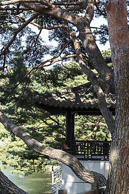 포토 JPG 주간 한국전통 호수 여행 한국건축 하늘 풍경 사람없음 야외 여름 관광지 저수지 소나무 정자 명승지 의림지 제천 국내포토 자연요소 나무 전통 건축물 계절 건축 한국 충청북도 파일형식 제천10경
