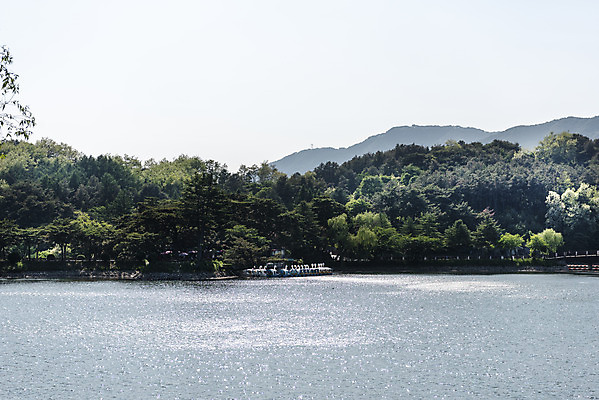 포토 JPG 주간 나무 한국전통 호수 여행 하늘 풍경 사람없음 야외 여름 관광지 저수지 명승지 의림지 제천 국내포토 자연요소 식물 전통 계절 한국 충청북도 파일형식 제천10경