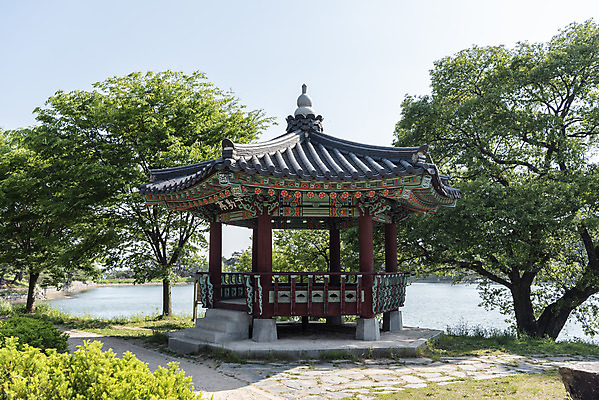 포토 JPG 주간 나무 한국전통 호수 여행 한국건축 하늘 풍경 사람없음 야외 여름 관광지 저수지 명승지 의림지 제천 우륵정 국내포토 자연요소 식물 전통 계절 건축 한국 정자_건축물 충청북도 파일형식 제천10경