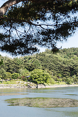 포토 JPG 주간 한국전통 호수 여행 하늘 풍경 사람없음 야외 아웃포커스 여름 관광지 저수지 소나무 명승지 의림지 제천 국내포토 자연요소 나무 전통 계절 한국 촬영기법 충청북도 파일형식 제천10경