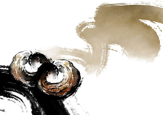 PSD 일러스트 캘리그라피 붓터치 사람없음 갈색 한의학 한약재 한약 번짐 영지버섯 국내일러스트 컬러 의학 약 버섯 약재 파일형식 효과