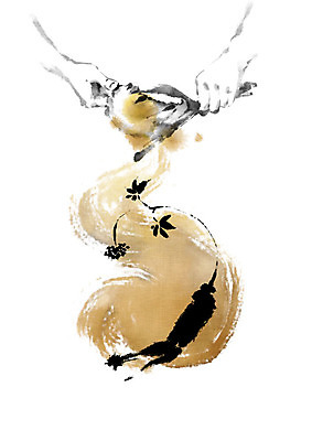 PSD 손 열매 잎 일러스트 캘리그라피 붓터치 신체부위 갈색 한의학 한약재 인삼 한약 번짐 짜기 국내일러스트 식물 컬러 의학 모션 사람 약 약재 삼 파일형식 효과