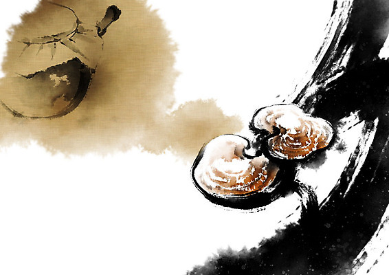 PSD 일러스트 캘리그라피 붓터치 사람없음 갈색 한의학 한약재 한약 번짐 약탕기 영지버섯 국내일러스트 컬러 의학 주방용품 약 버섯 약재 파일형식 효과