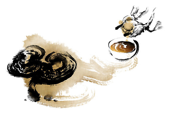 PSD 손 일러스트 캘리그라피 붓터치 신체부위 갈색 한의학 한약재 한약 번짐 영지버섯 짜기 국내일러스트 컬러 의학 모션 사람 약 버섯 약재 파일형식 효과