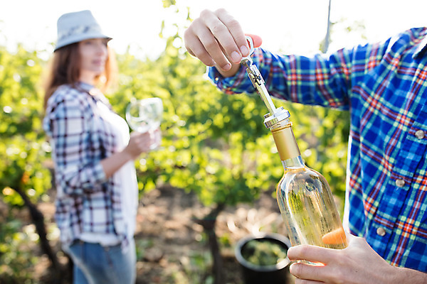 포토 JPG 주간 서양인 외국인 모자 손 커플 여자 남자 와인잔 포도 서기 사람 상반신 20대 성인 야외 두명 옆모습 농장 양동이 포도밭 체코 와인오프너 성인만 국내포토 자연요소 잡화 유럽 뷰포인트 밭 농업 술잔 과일 관계 모션 인종 청년 신체부위 병따개 파일형식