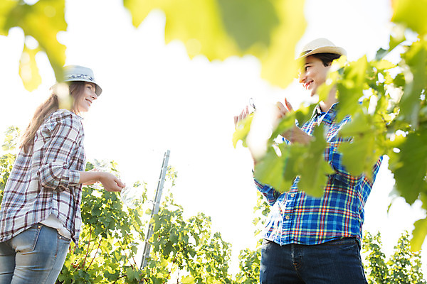 포토 JPG 주간 서양인 외국인 커플 여자 남자 로우앵글 와인잔 포도 서기 사람 상반신 20대 성인 야외 두명 옆모습 농장 포도밭 체코 와인오프너 성인만 국내포토 자연요소 유럽 뷰포인트 밭 농업 술잔 과일 관계 모션 인종 청년 병따개 파일형식