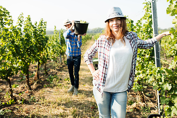 포토 JPG 주간 전신 서양인 외국인 모자 커플 여자 남자 허리손 포도 서기 미소 들기 사람 상반신 20대 성인 야외 두명 앞모습 농장 양동이 포도밭 체코 성인만 국내포토 자연요소 잡화 유럽 뷰포인트 포즈 밭 농업 과일 관계 모션 표정 인종 청년 파일형식