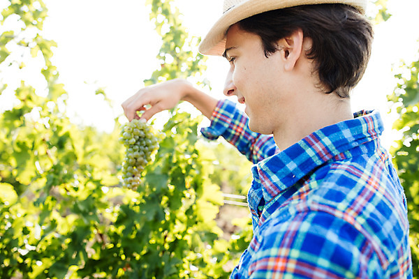 포토 JPG 주간 서양인 외국인 모자 남자 포도 한명 서기 미소 들기 사람 상반신 20대 성인 야외 옆모습 농장 수확 포도밭 포도송이 체코 성인남자한명만 국내포토 자연요소 1 잡화 유럽 뷰포인트 밭 농업 과일 모션 표정 인종 청년 남자한명만 성인남자만 파일형식