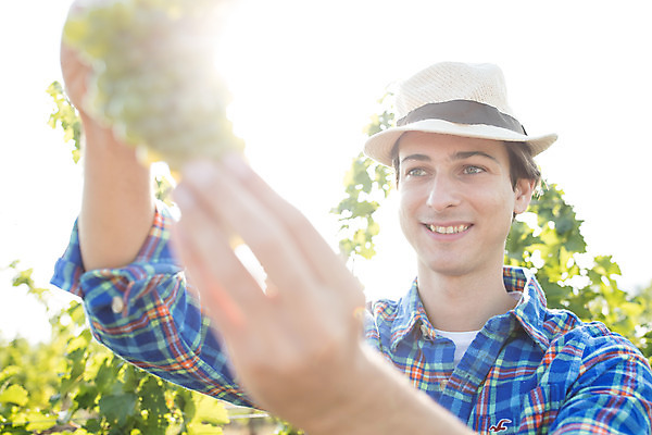 포토 JPG 주간 서양인 외국인 모자 남자 포도 한명 서기 미소 들기 사람 상반신 20대 성인 야외 앞모습 농장 수확 포도밭 포도송이 체코 성인남자한명만 국내포토 자연요소 1 잡화 유럽 뷰포인트 밭 농업 과일 모션 표정 인종 청년 남자한명만 성인남자만 파일형식