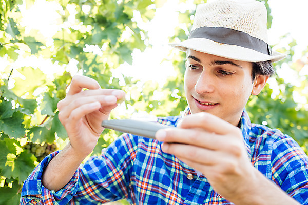 포토 JPG 주간 서양인 외국인 모자 남자 포도 한명 서기 미소 들기 사람 상반신 20대 성인 야외 앞모습 농장 측정 포도밭 체코 성인남자한명만 당도측정기 국내포토 자연요소 1 잡화 유럽 뷰포인트 밭 농업 과일 모션 표정 인종 청년 기계 남자한명만 성인남자만 파일형식